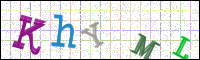 Image Verification