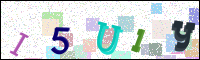 Image Verification