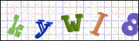 Image Verification