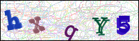 Image Verification