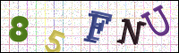 Image Verification