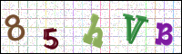 Image Verification