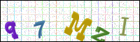 Image Verification