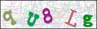 Image Verification