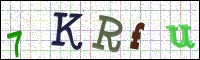 Image Verification