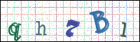 Image Verification