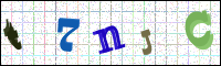 Image Verification